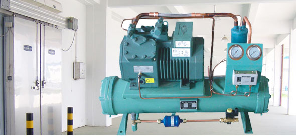 成活率有保證，客戶自然多 技術過硬